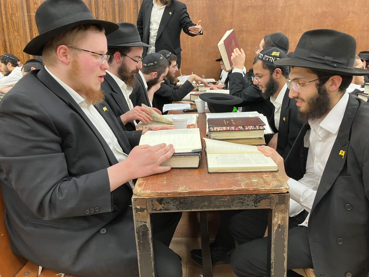 הגלריה השבועית מבית משיח: פרשת שמות